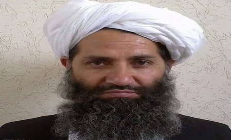تصویر از سرنوشت جنگ درافغانستان بارهبری آخوندزاده بر گروه طالبان