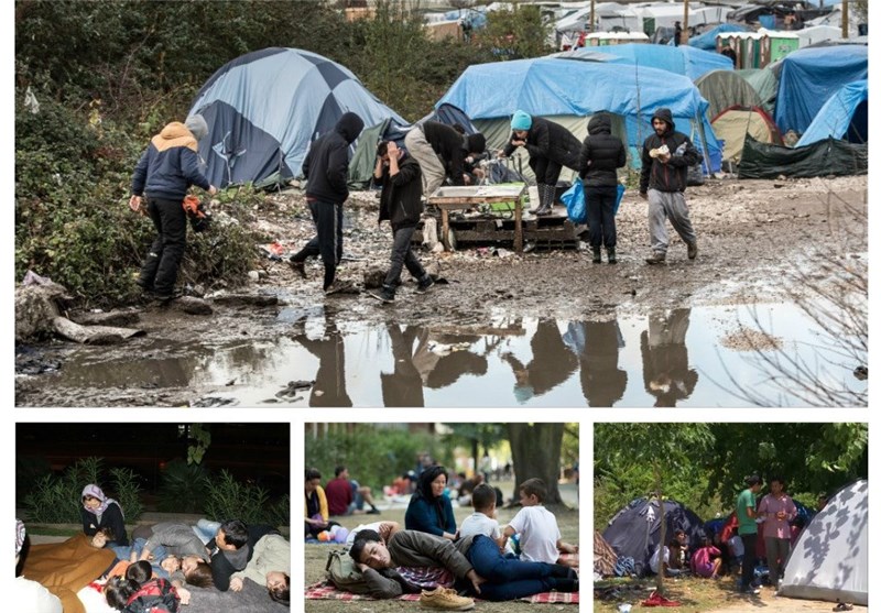 تصویر از ۵۰ هزار افغان از اروپا تقاضای پناهندگی کرده‌اند