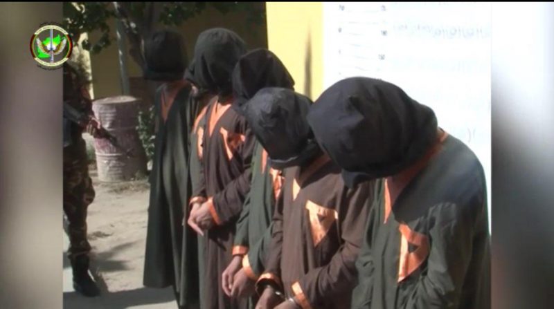 تصویر از شبکه شش نفری طالبان در لغمان بازداشت شد