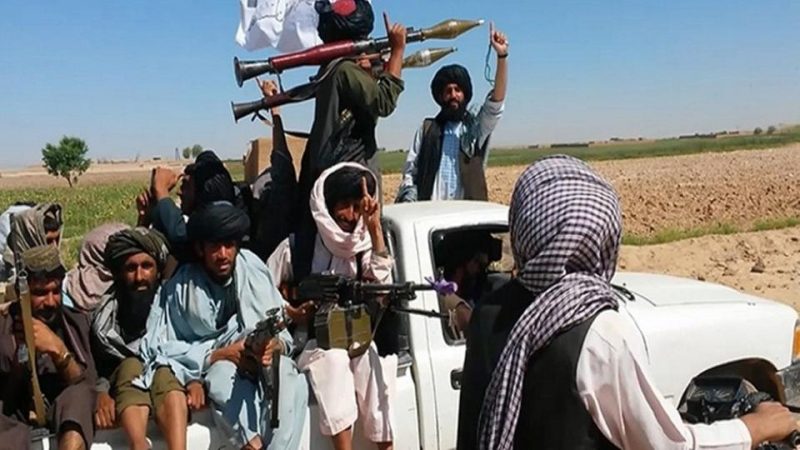 تصویر از طالبان چهار قاضی را در لوگر ترور کرد