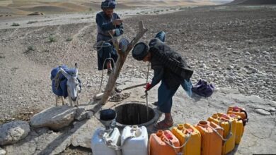 تصویر از سازمان ملل: خشکسالی در افغانستان میزان فقر را افزایش داده است