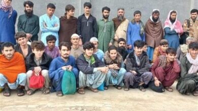 تصویر از 500 پناهجوی افغان طی دو هفته اخیر در پاکستان بازداشت شده اند