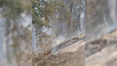 تصویر از آتش سوزی در جنگلات نورستان همچنان ادامه دارد؛ 60 جریب جنگل تاکنون سوخته است