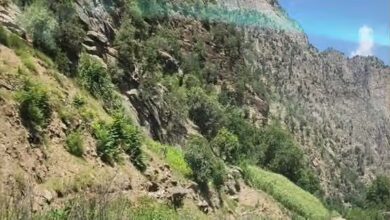 تصویر از پاکستان اتهام دخالت در درگیری‌های نورستان و حمایت از مخالفان مسلح را رد کرد